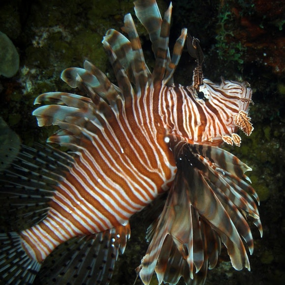 Meet your Posher, Jean - Picture 7 of 8